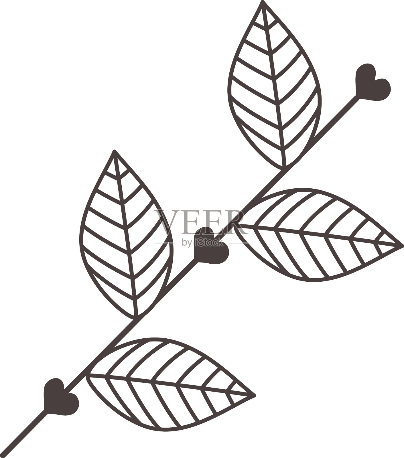 孤立的叶片设计设计元素图片