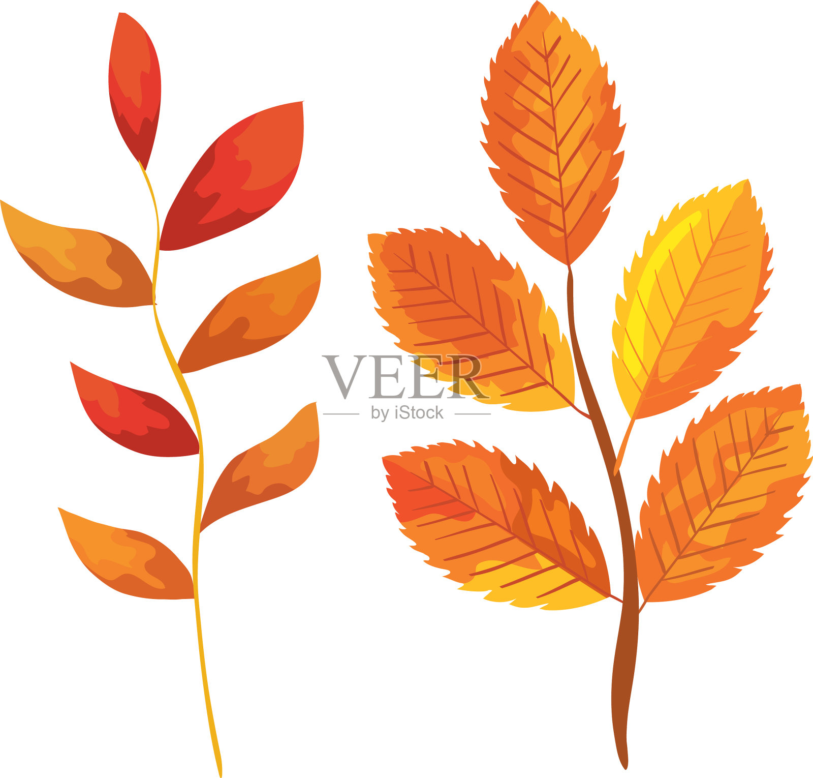 季节秋天的树枝与树叶设计元素图片