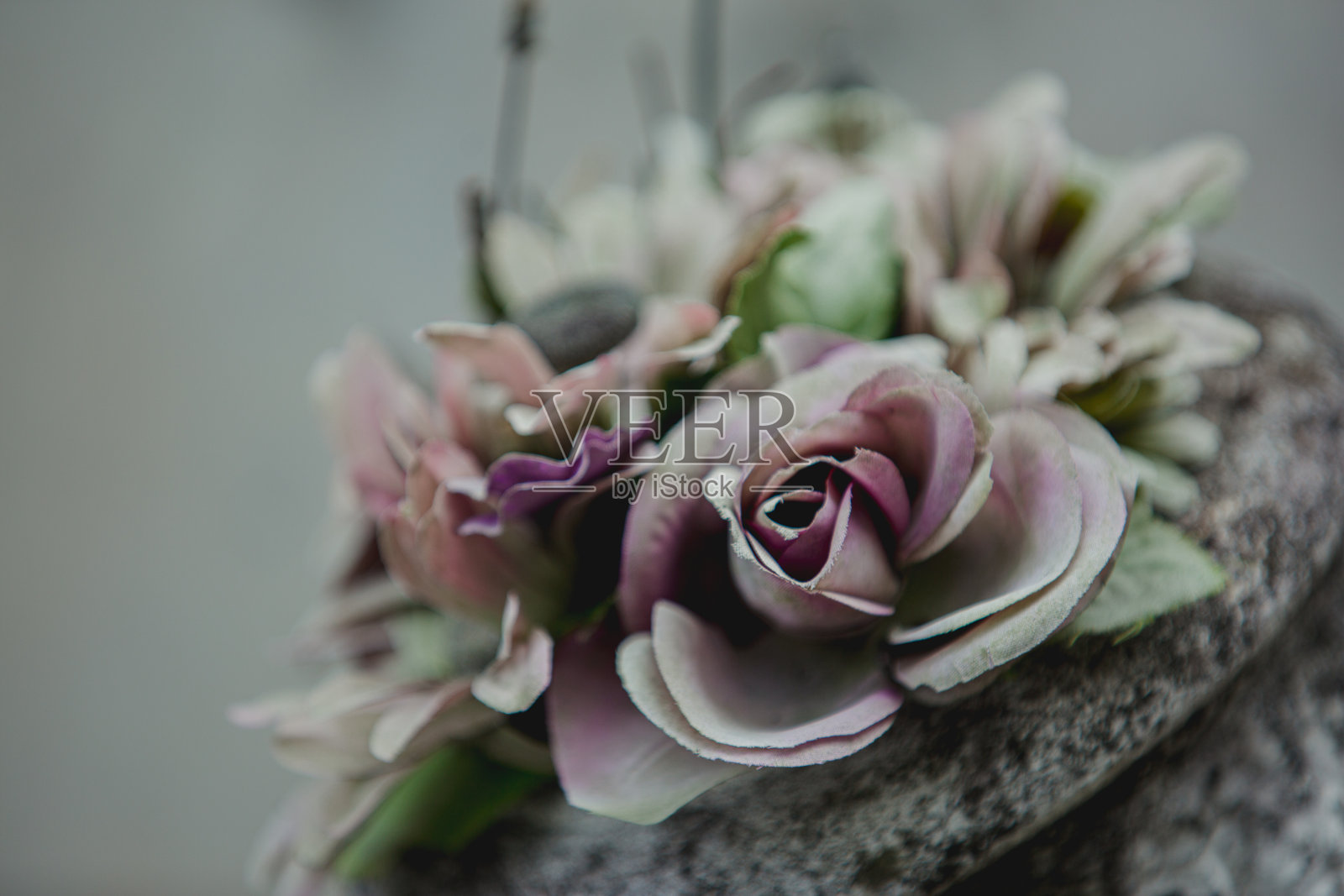 垂死的花和物体照片摄影图片