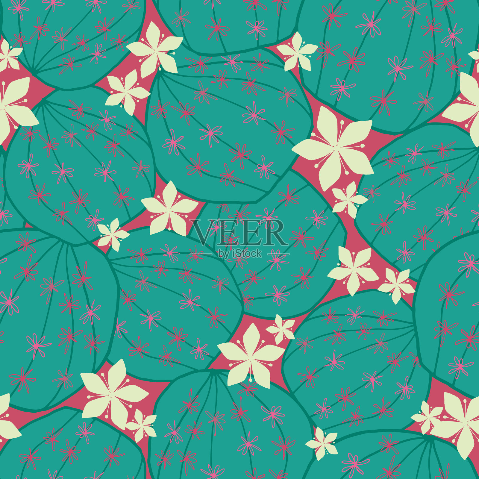 圆形的绿色仙人掌盛开着白花的手插画图片素材