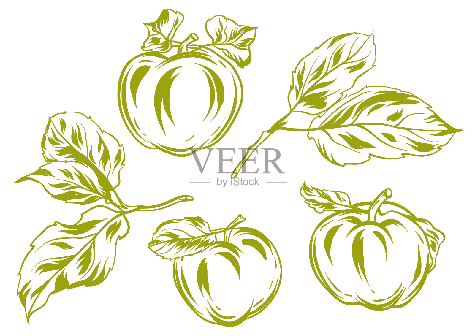 一组苹果和树叶设计元素图片