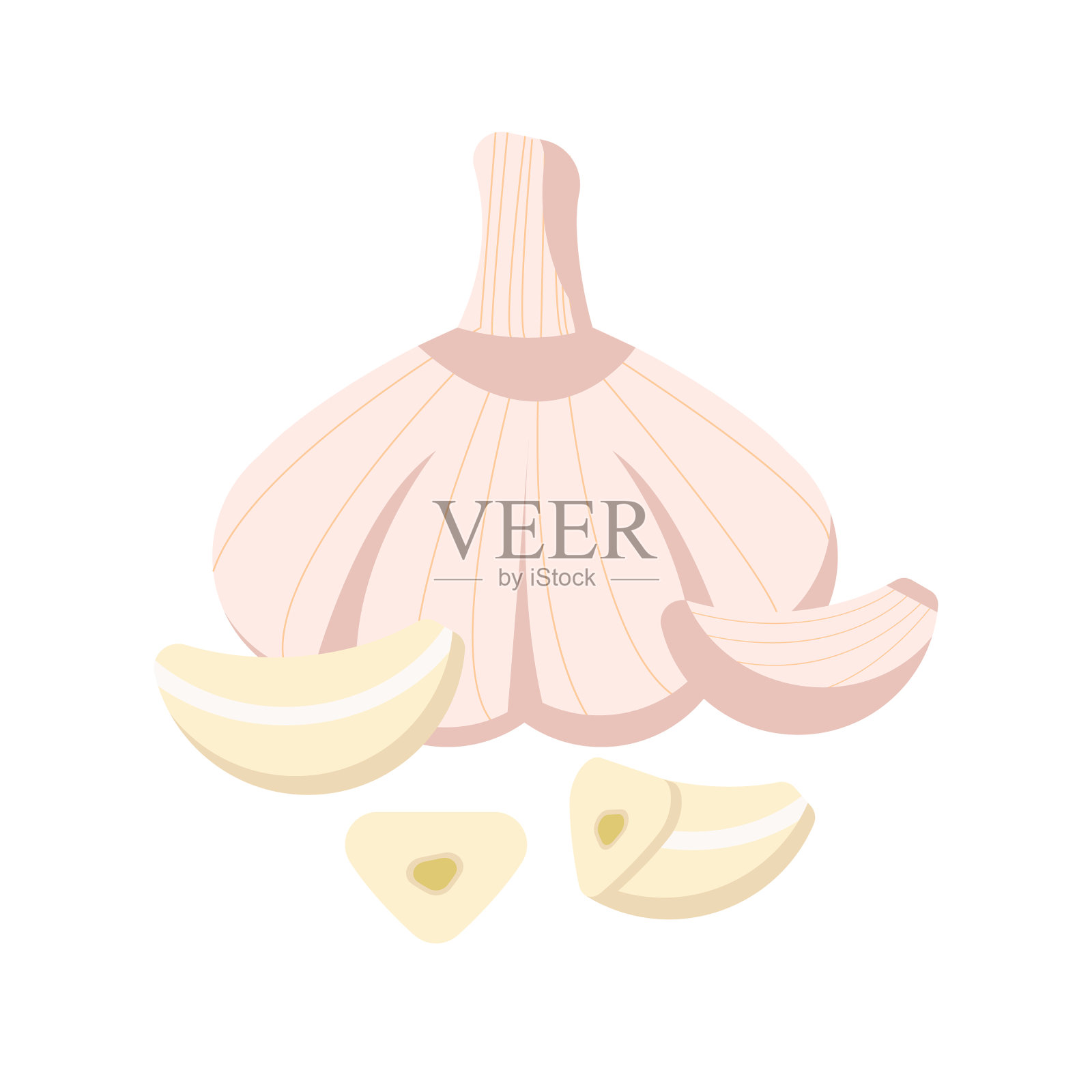 大蒜孤立在白色背景上设计元素图片