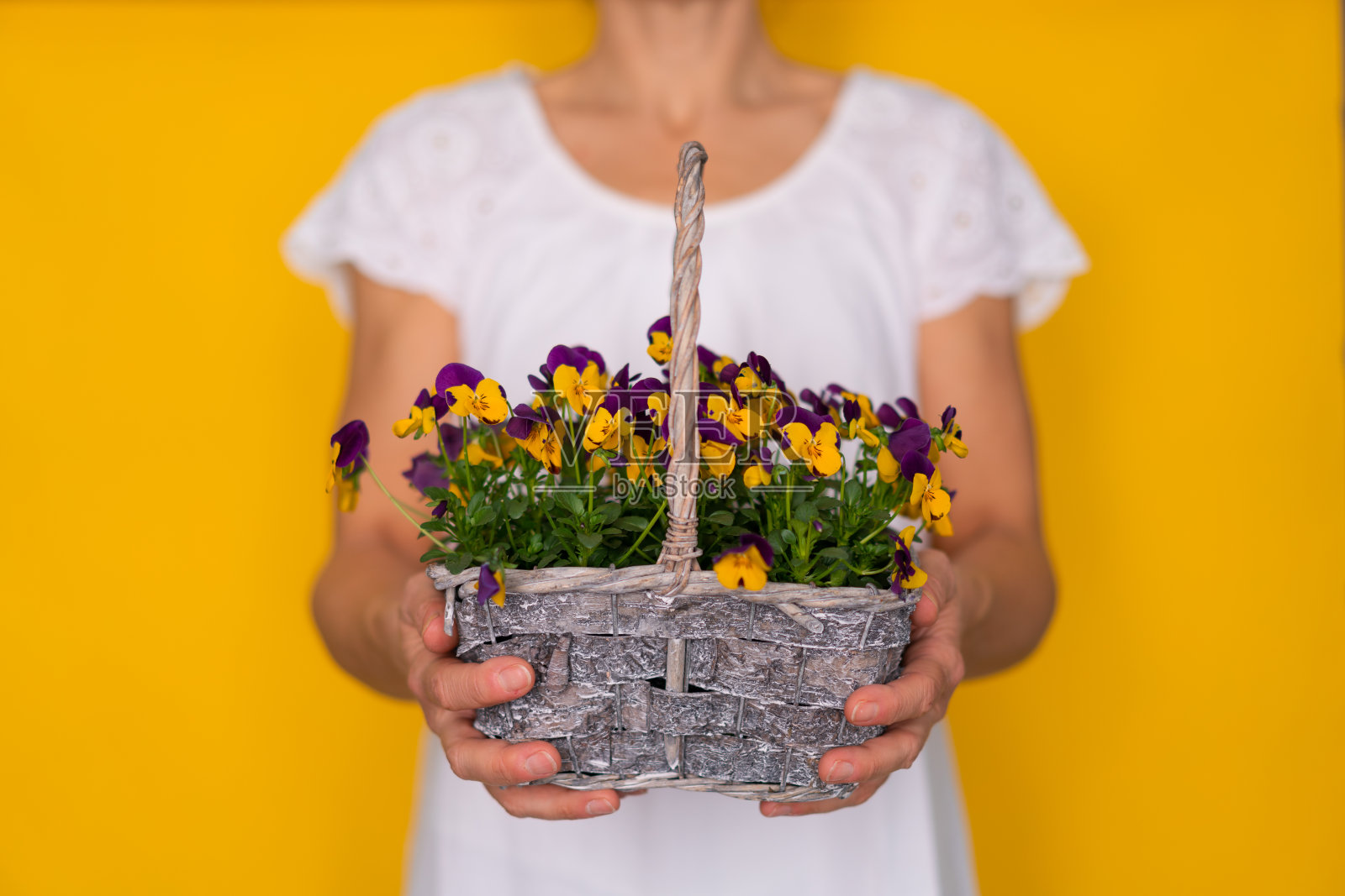 花母亲节礼物照片摄影图片