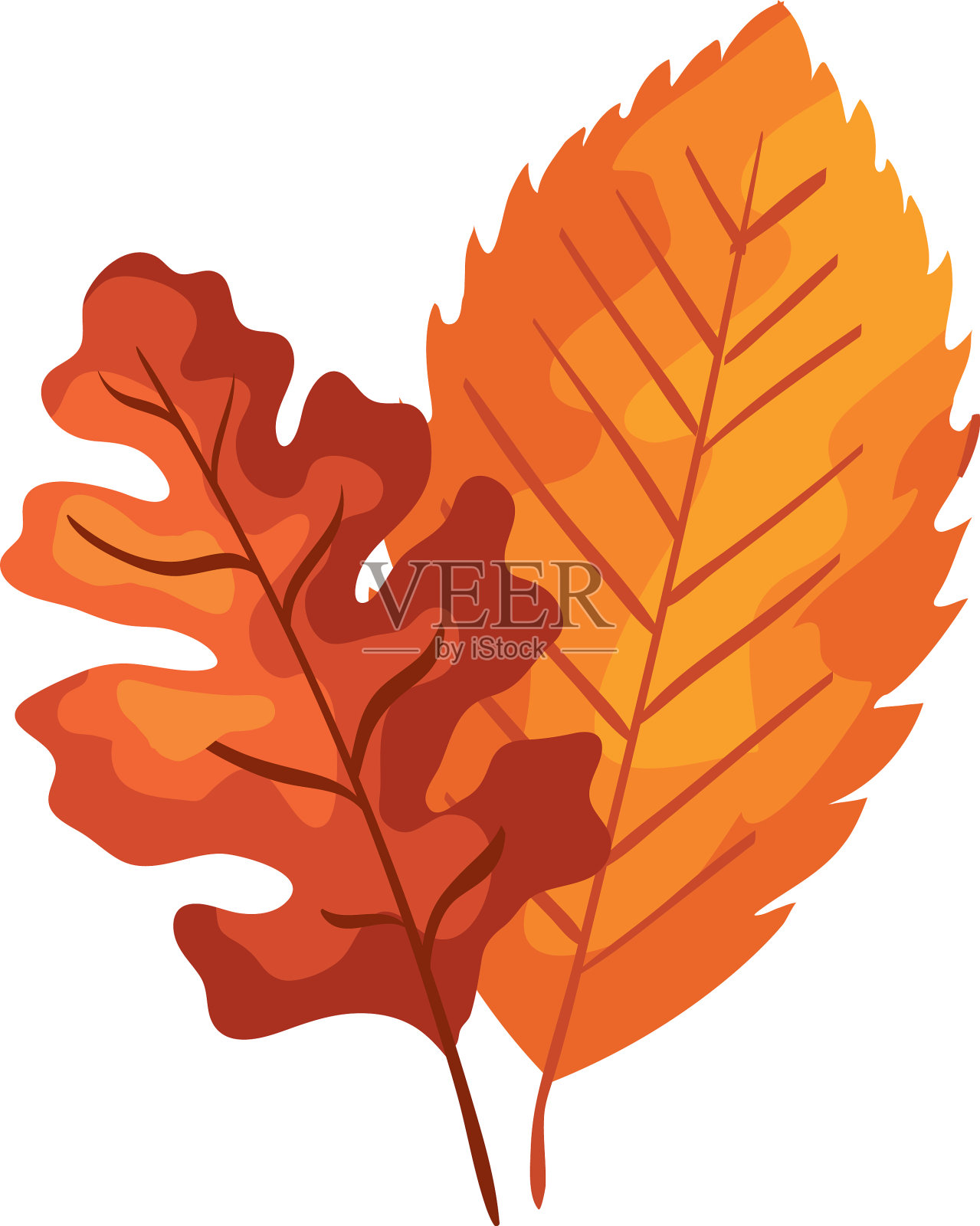 季节秋叶孤立的图标设计元素图片