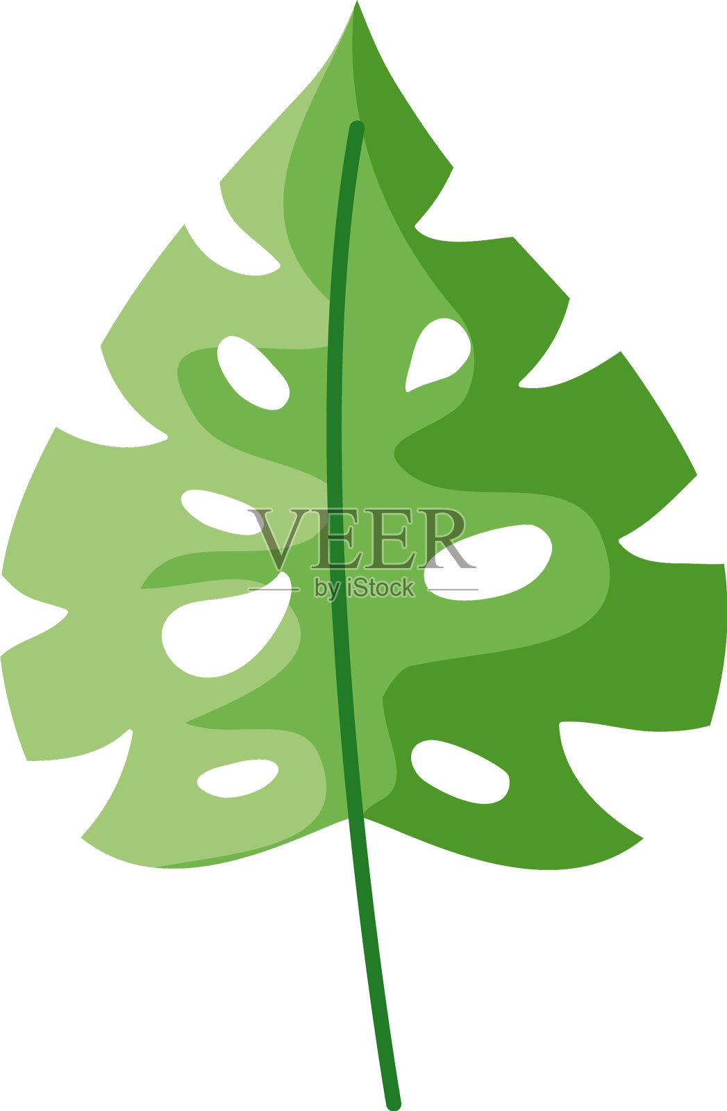 热带叶自然孤立图标设计元素图片