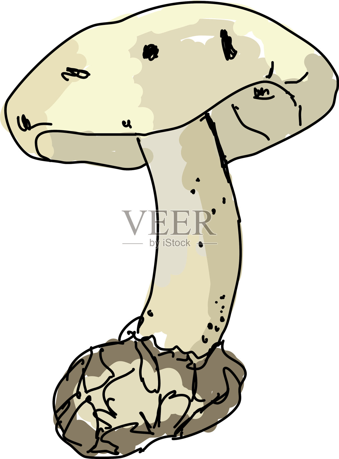 蘑菇绘图在白色的背景设计元素图片