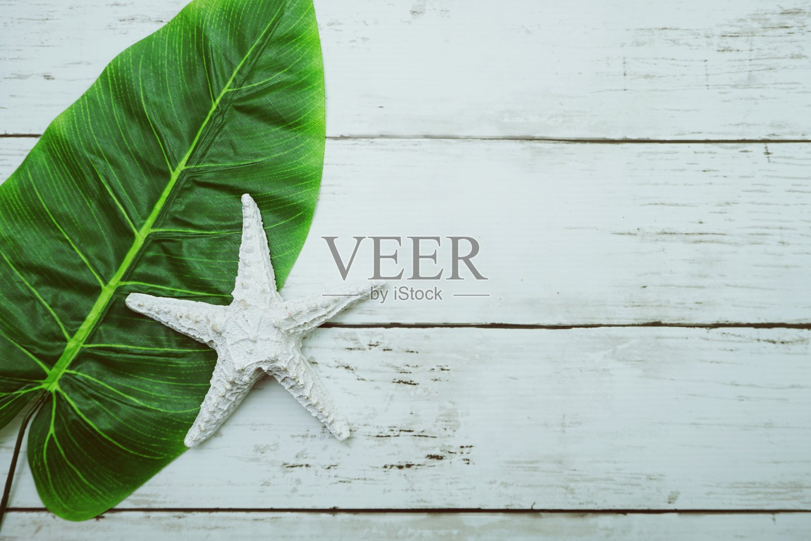 夏季背景概念与绿色的树叶和海星装饰在木制的背景照片摄影图片