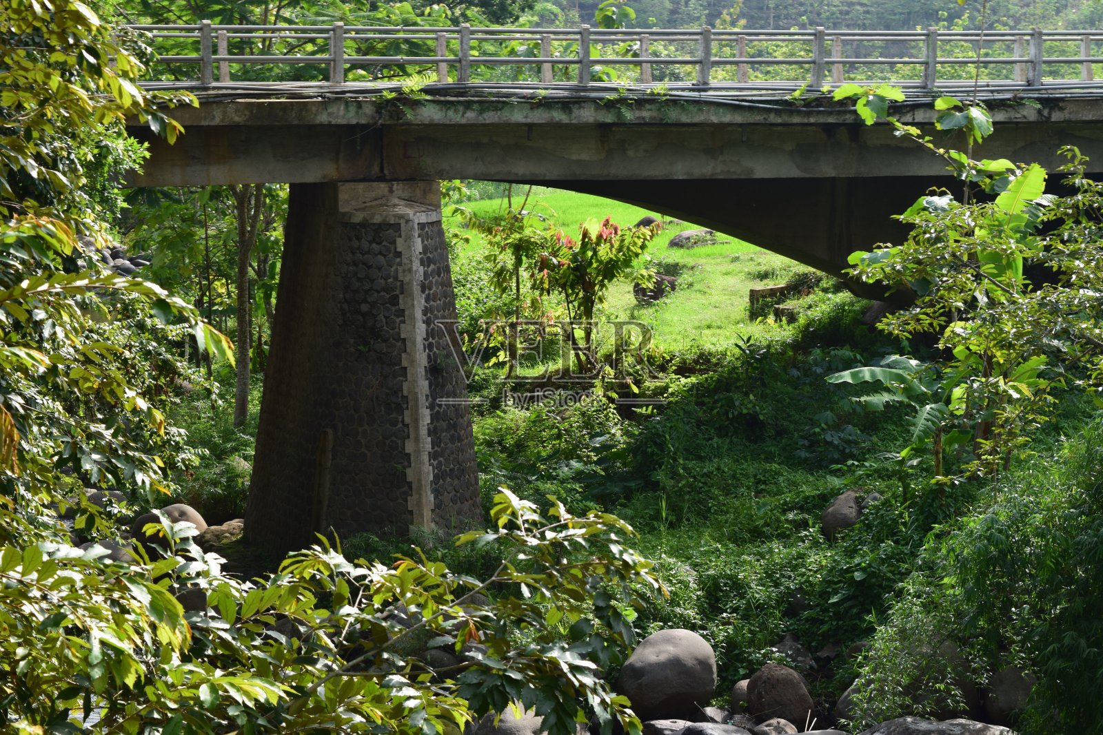 村子里的桥照片摄影图片
