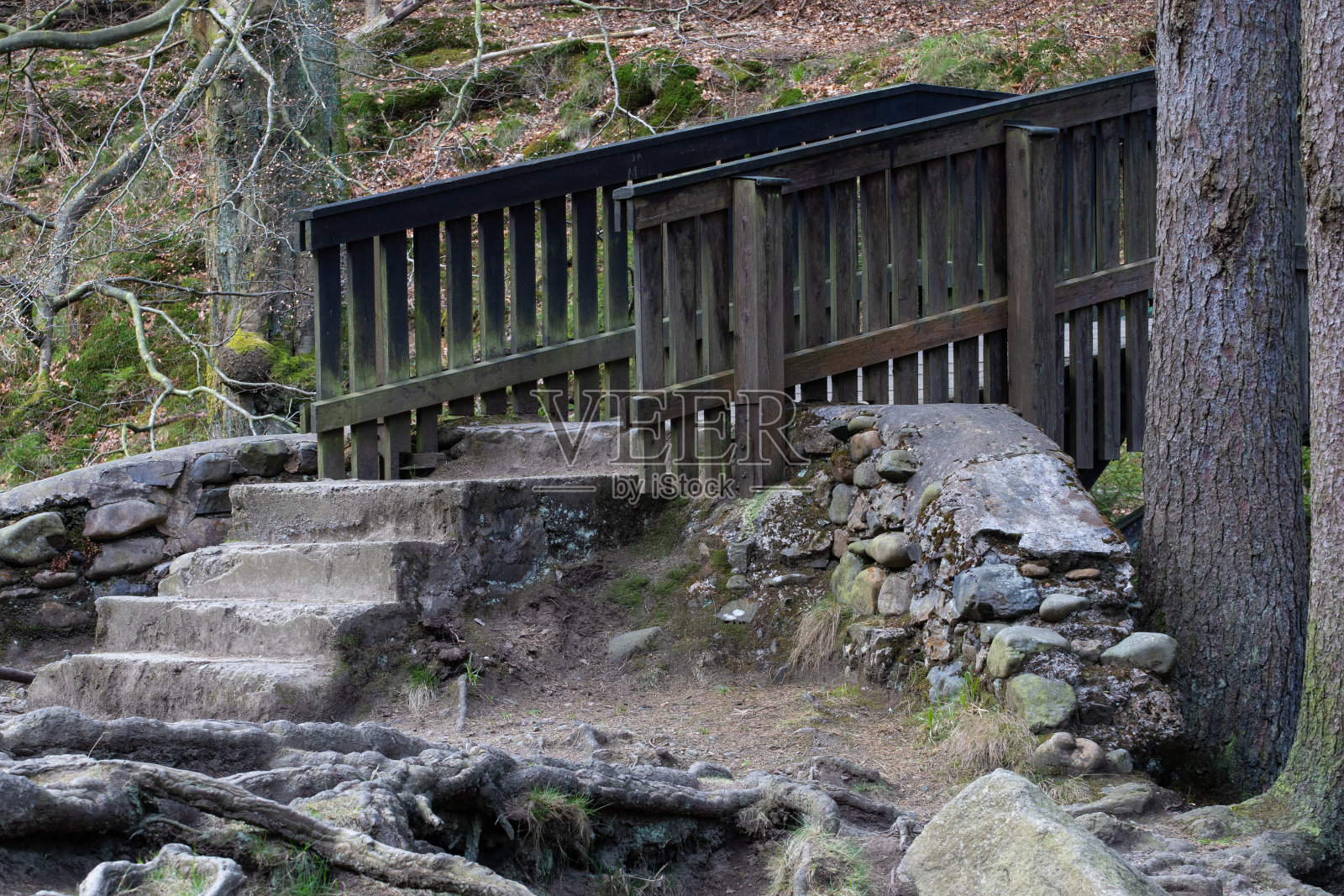 通往桥的台阶照片摄影图片