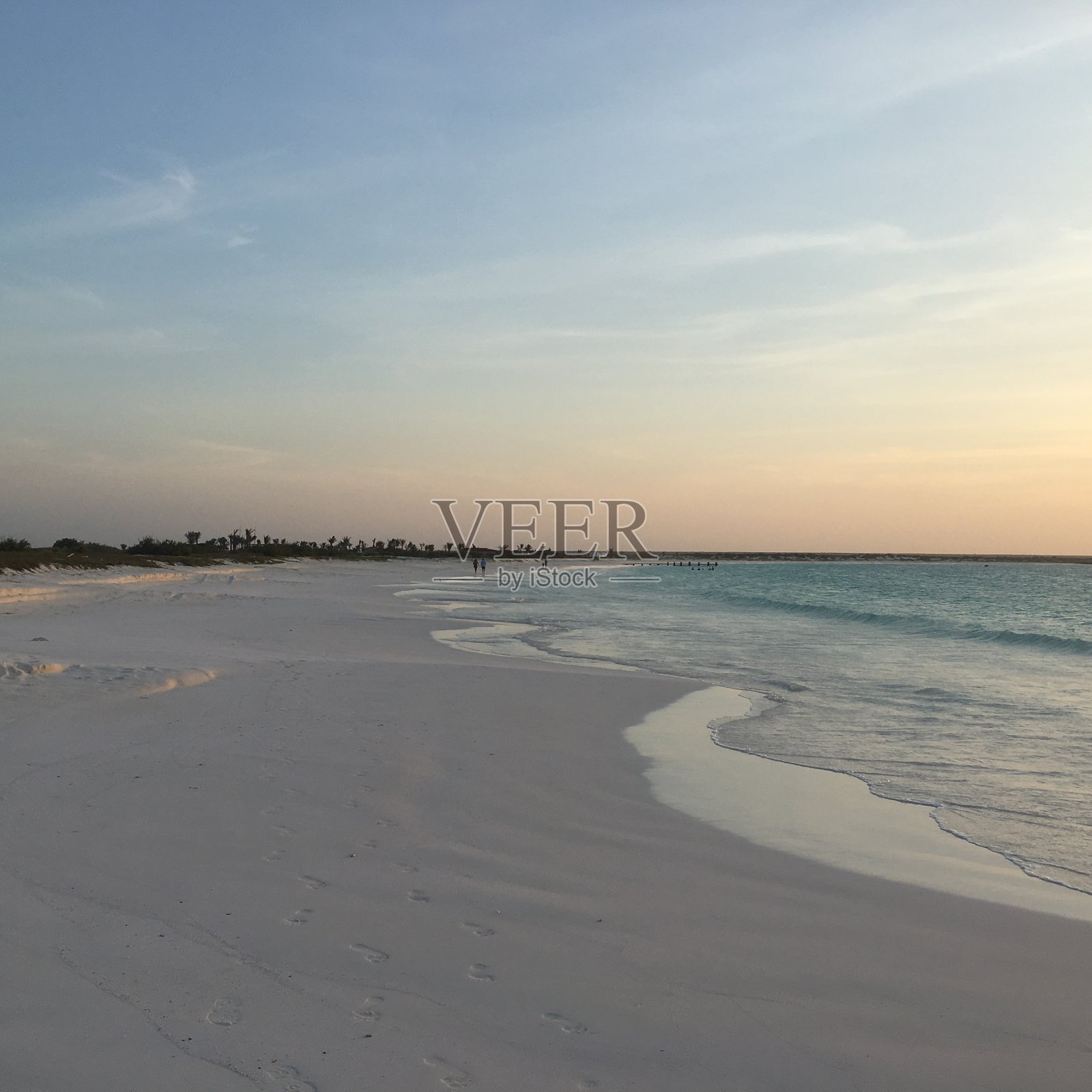 乌龟照片摄影图片