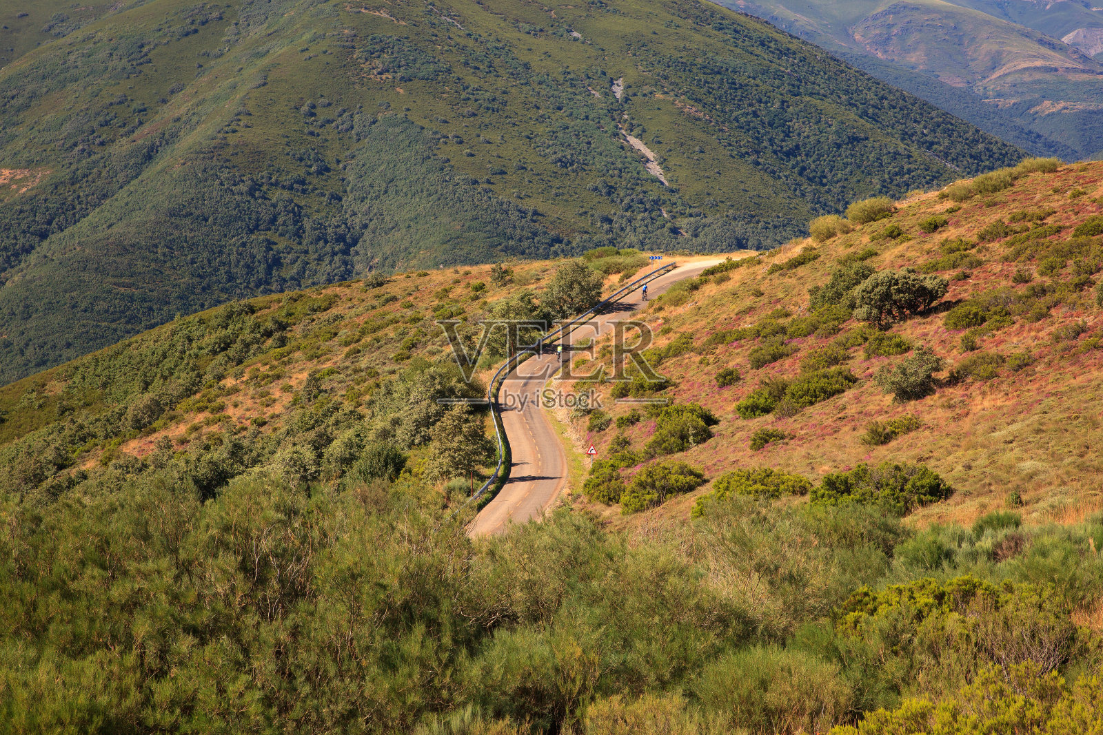 看到一座绿色的山照片摄影图片