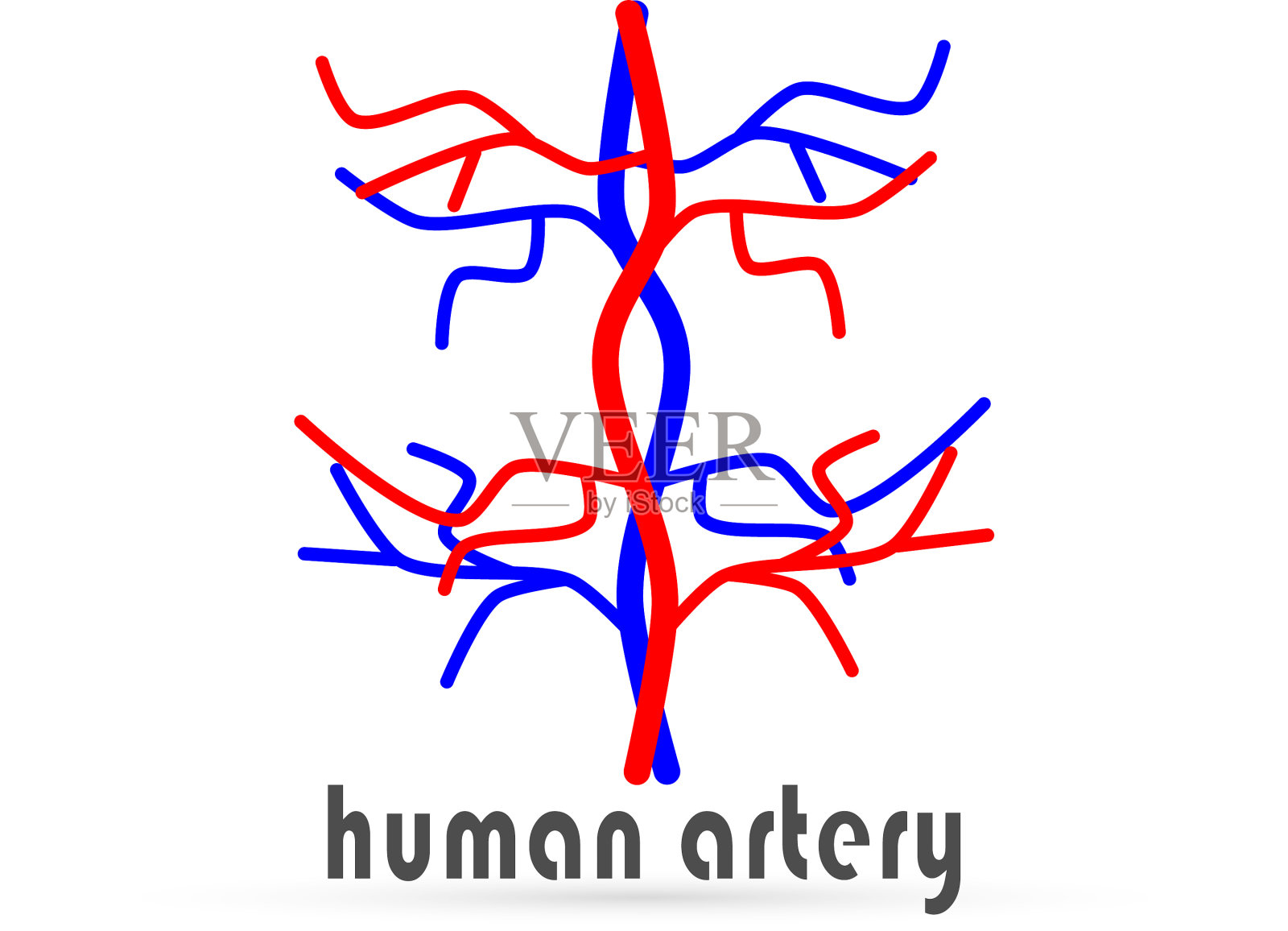 涂鸦人类动脉图标孤立手绘插画图片素材