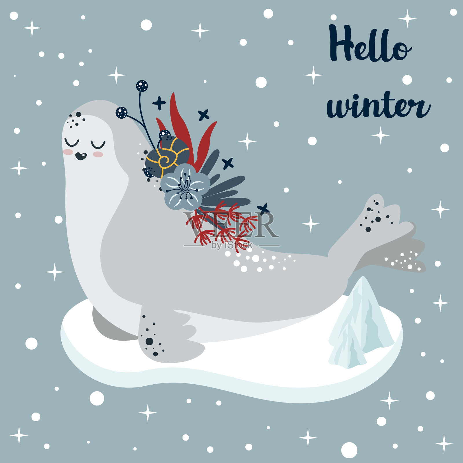 冬季海报与极地毛皮海豹插画图片素材