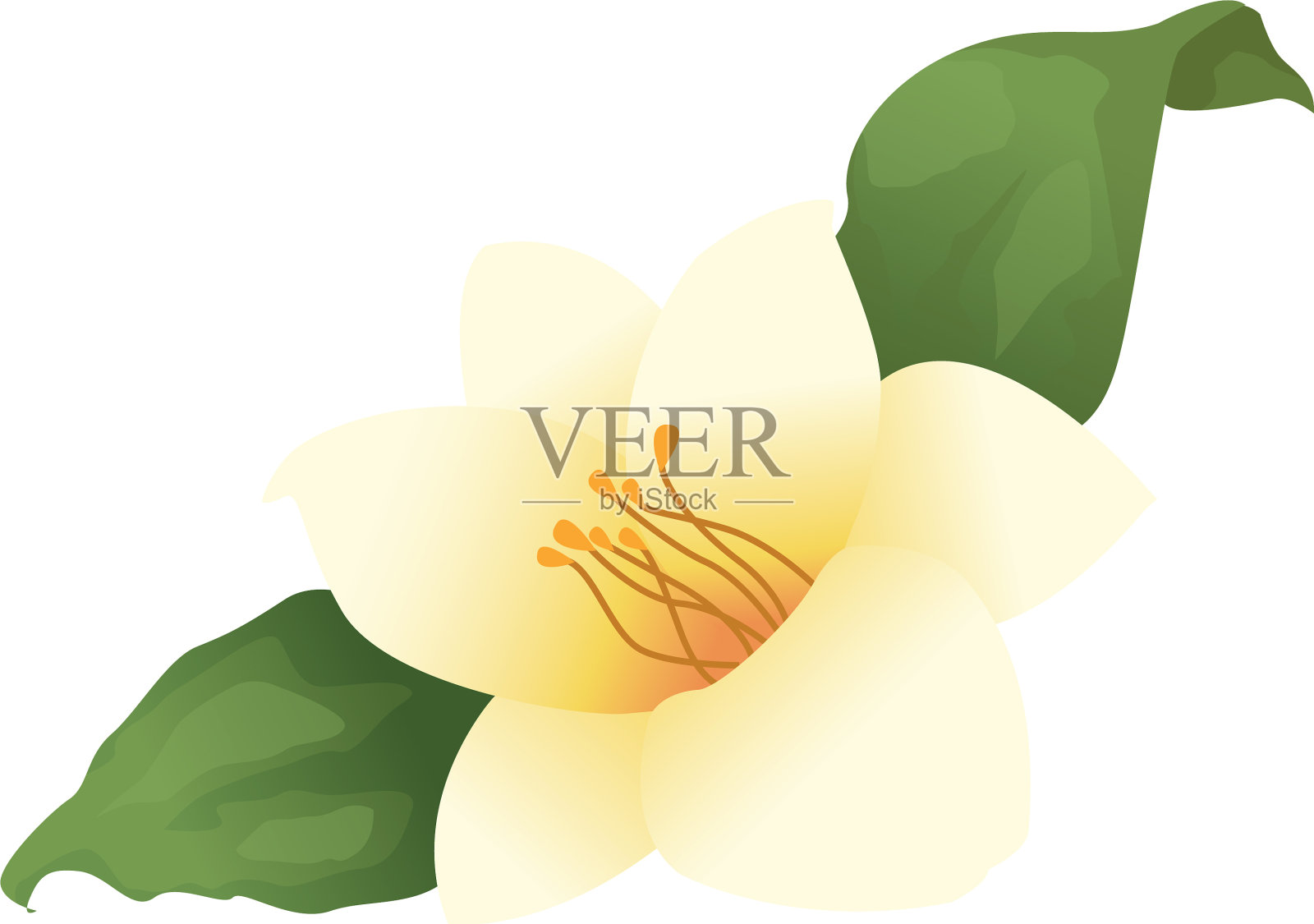 美丽的花朵和叶子的图标插画图片素材