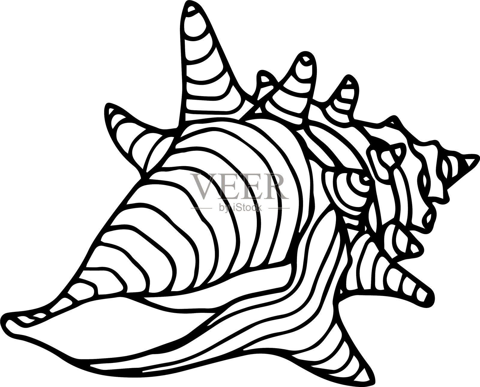 空的带角条纹的贝壳，海洋软体动物设计元素图片