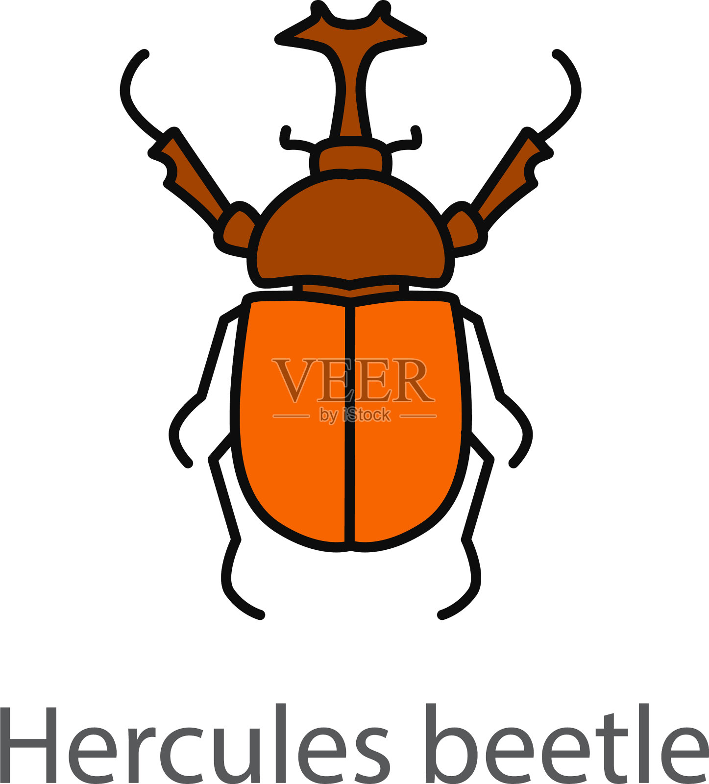 大力神甲虫颜色图标插画图片素材