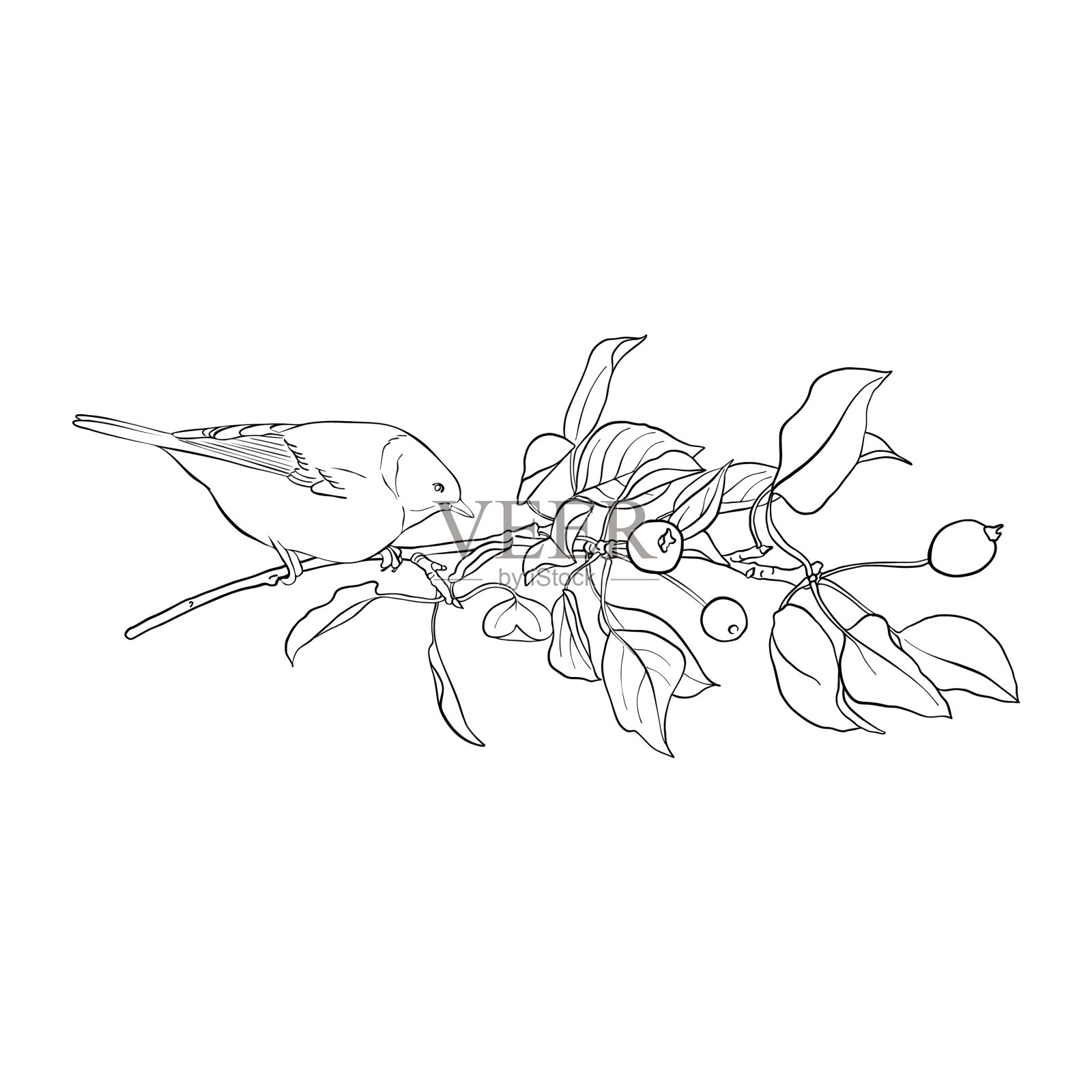 鸟在树枝上设计元素图片
