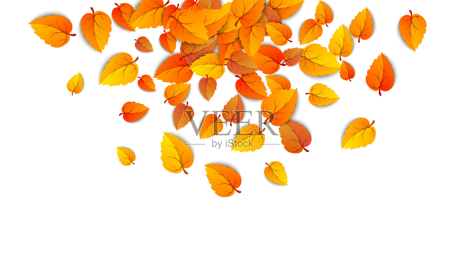 秋叶孤立在白色的背景上插画图片素材