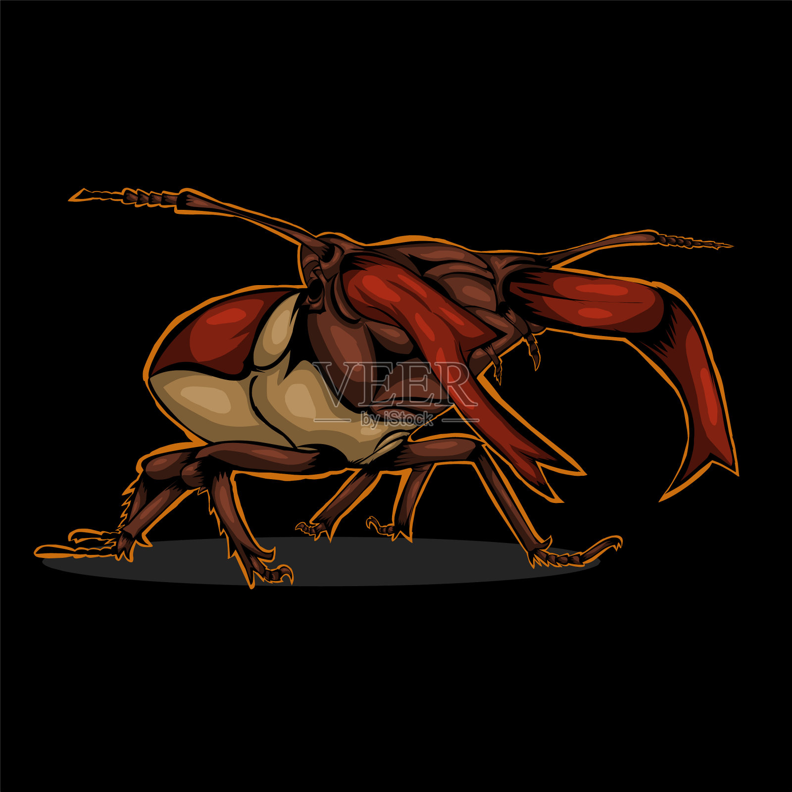 甲虫插画图片素材