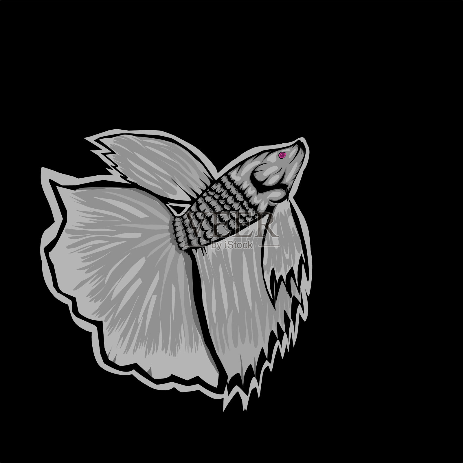 搏鱼鱼插画图片素材