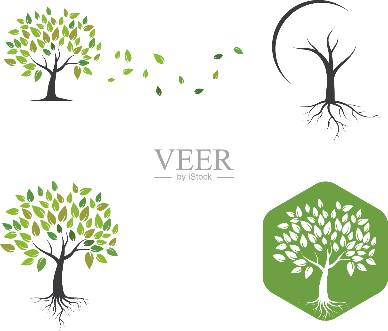 树图标标志模板插画图片素材