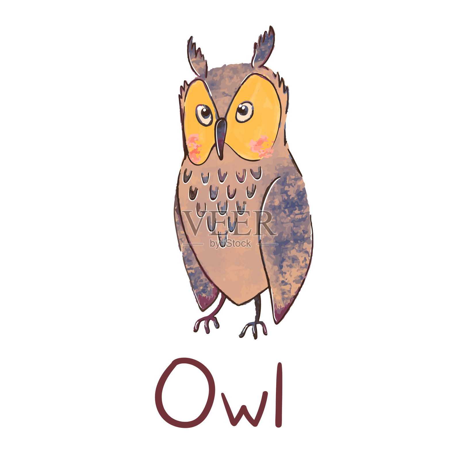 可爱的五颜六色的猫头鹰孤立上设计元素图片