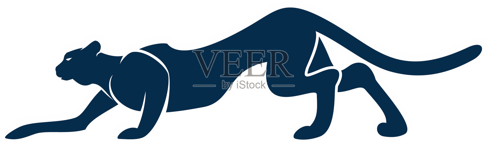 美洲狮或黑豹是孤立的野猫动物插画图片素材