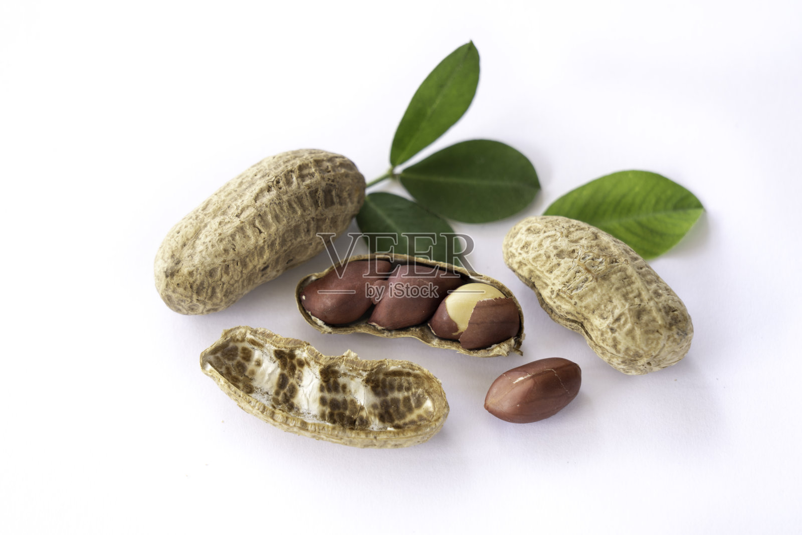 花生成分照片摄影图片