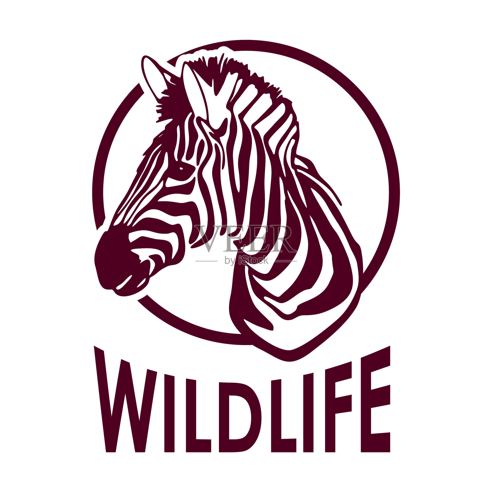 手画斑马野生动物文字孤立在一个插画图片素材