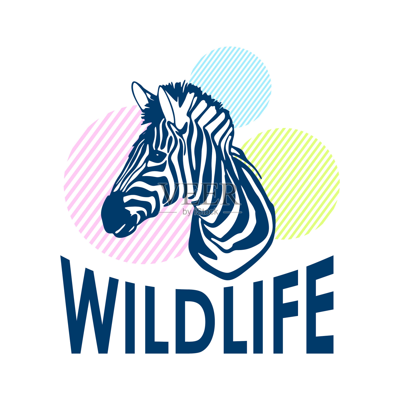 手画斑马野生动物文字孤立在一个插画图片素材