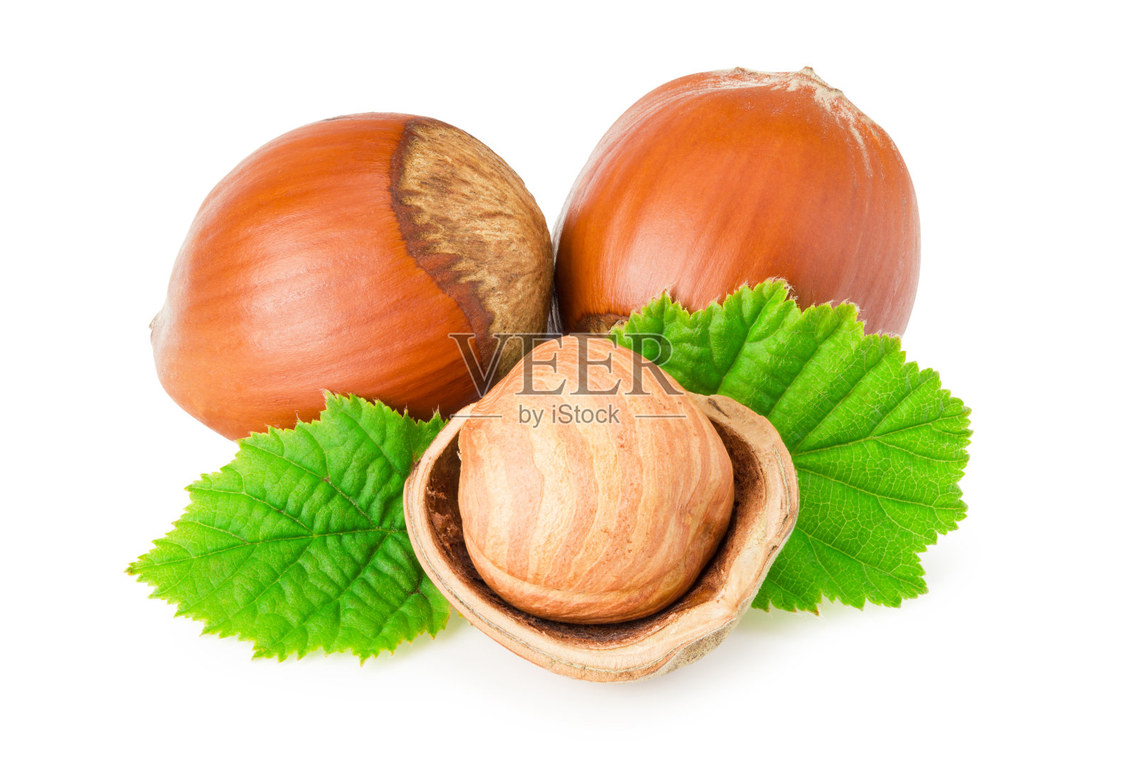 叶子孤立在白色背景上的榛子照片摄影图片