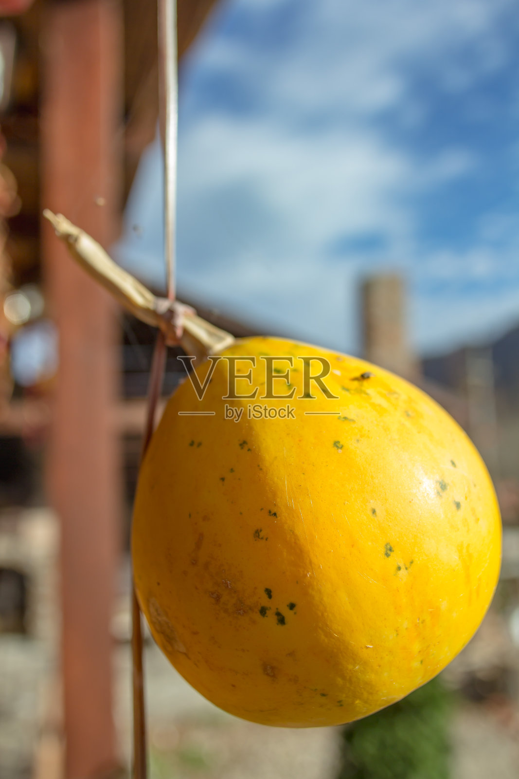 黄色的南瓜照片摄影图片