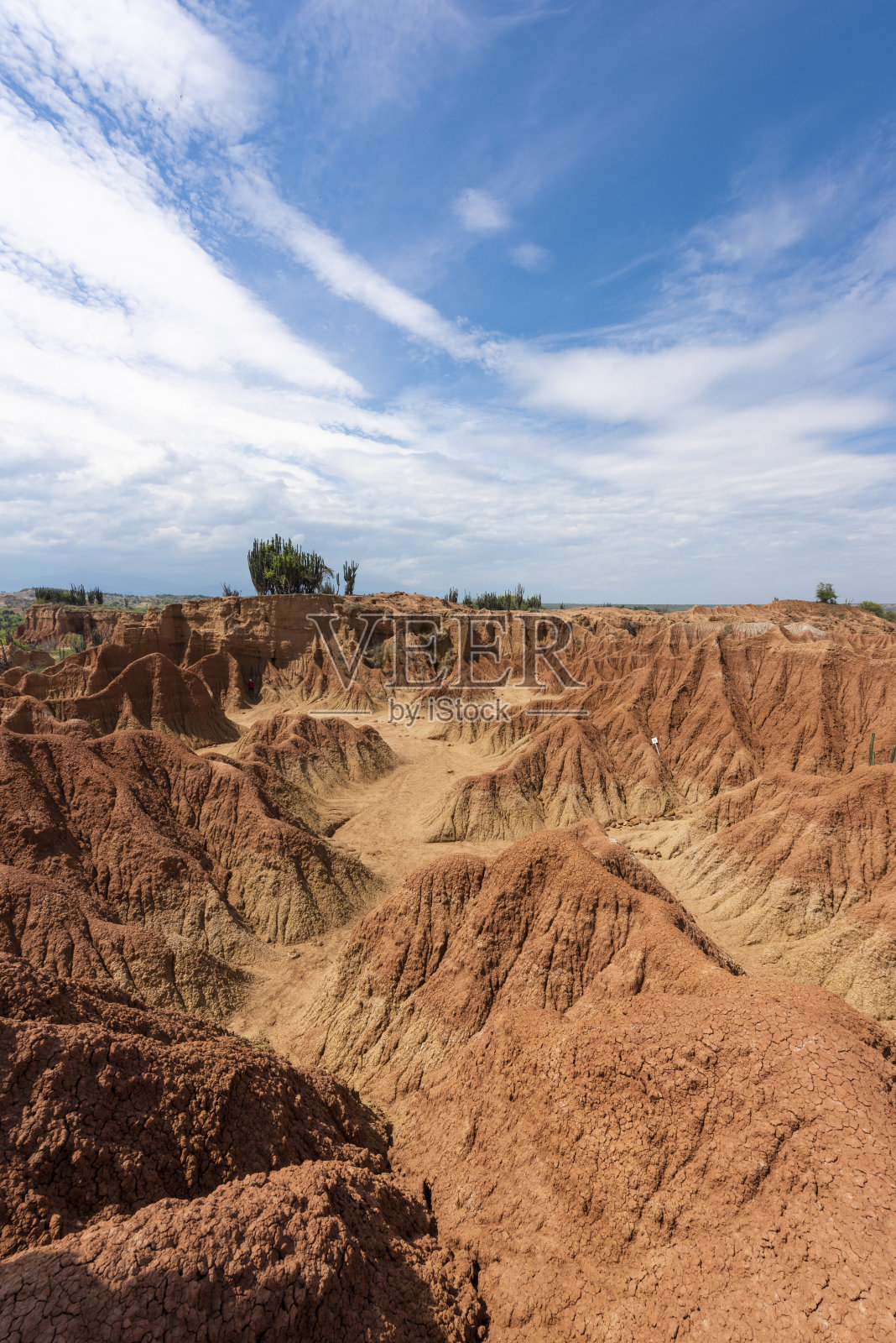蓝天下的沙漠照片摄影图片
