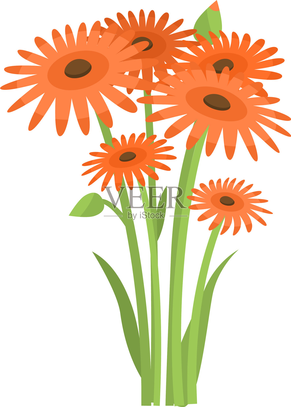 花床上生长着大量橙色非洲菊设计元素图片