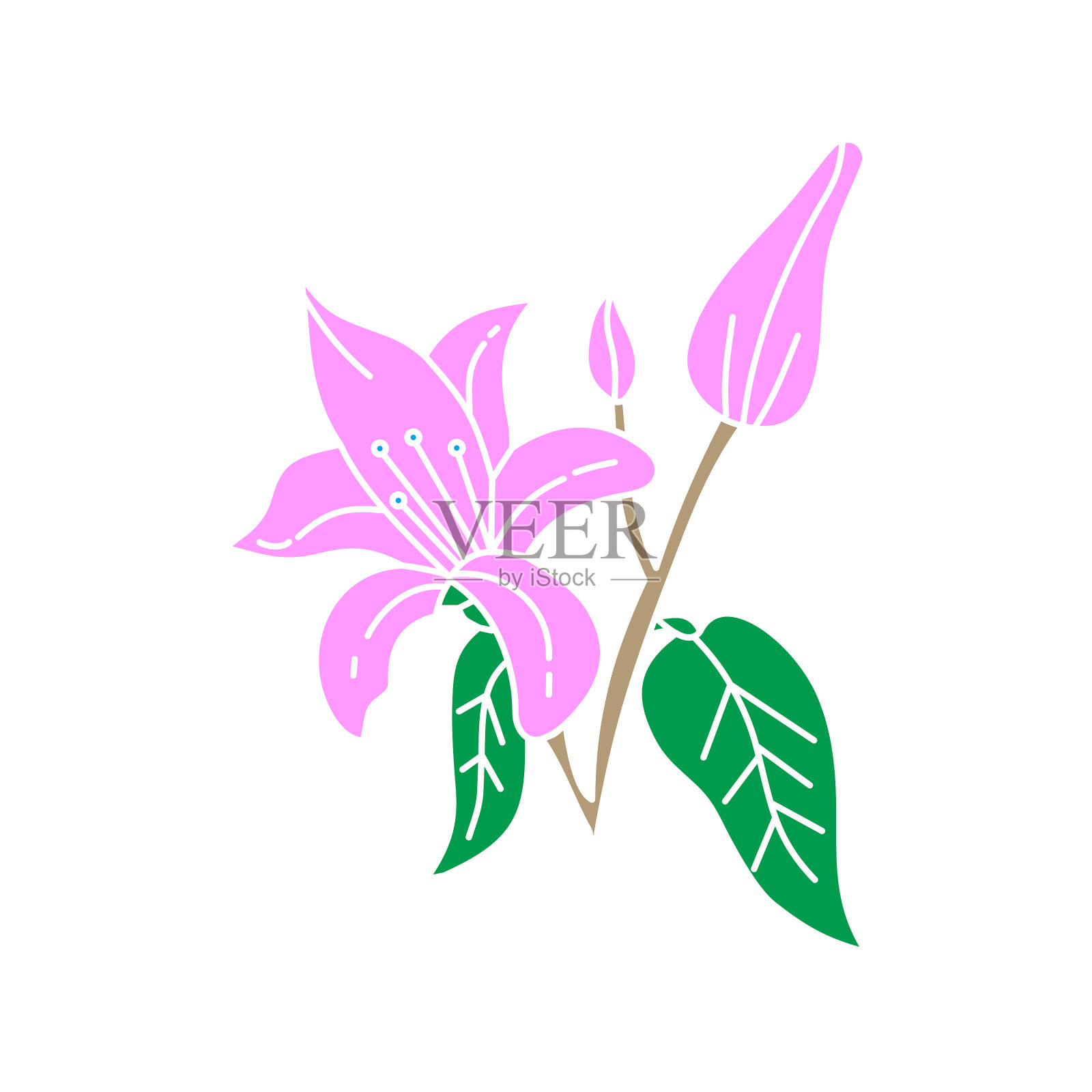 花叶设计模板设计元素图片