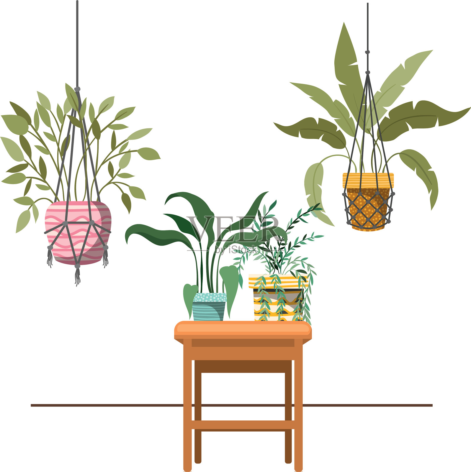 流苏衣架和桌子上的室内植物插画图片素材