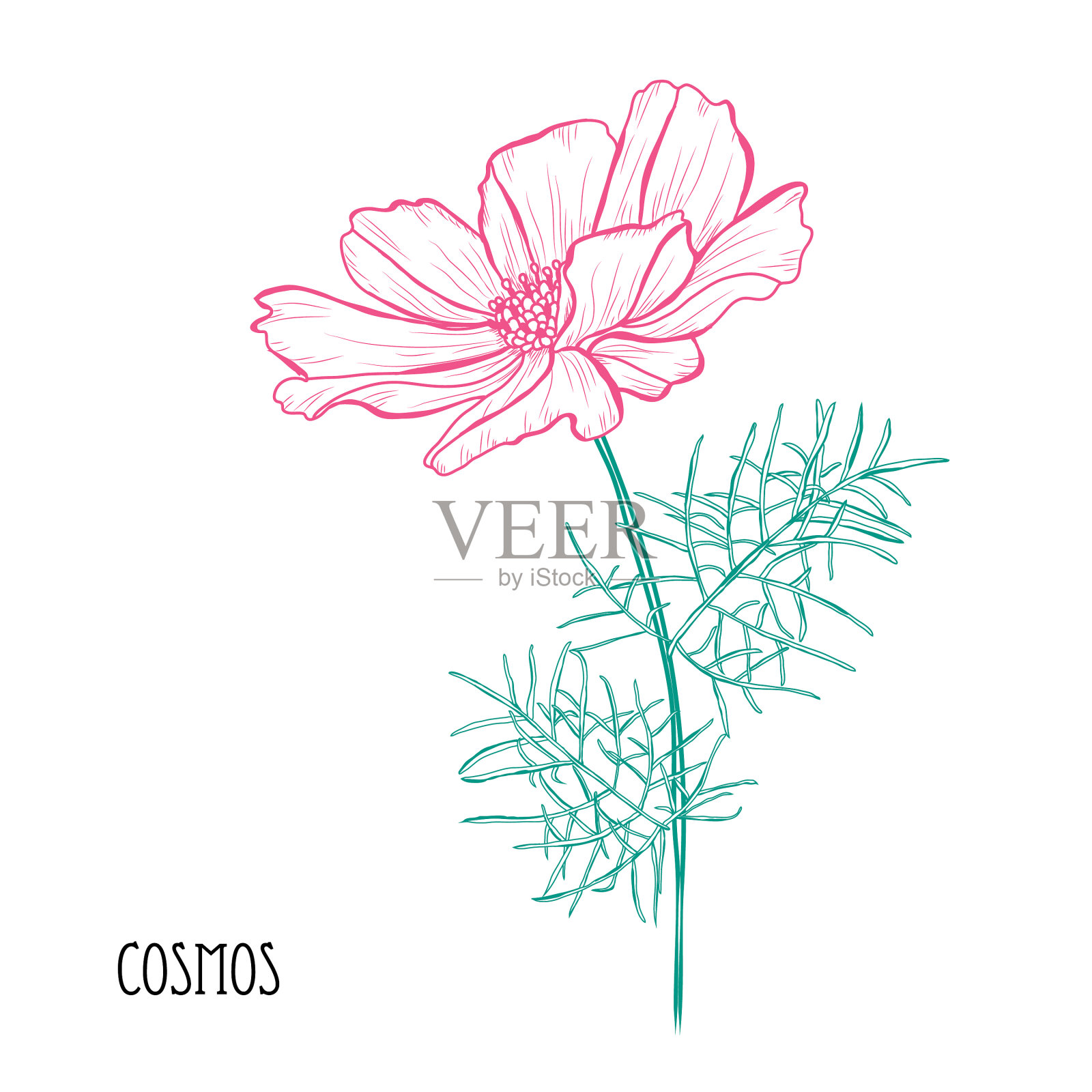 手绘花卉装饰设计元素图片