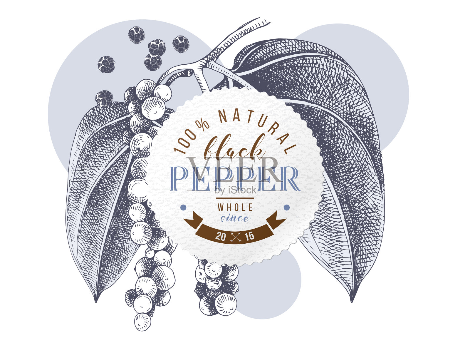 手绘辣椒植株上的黑胡椒图案设计元素图片