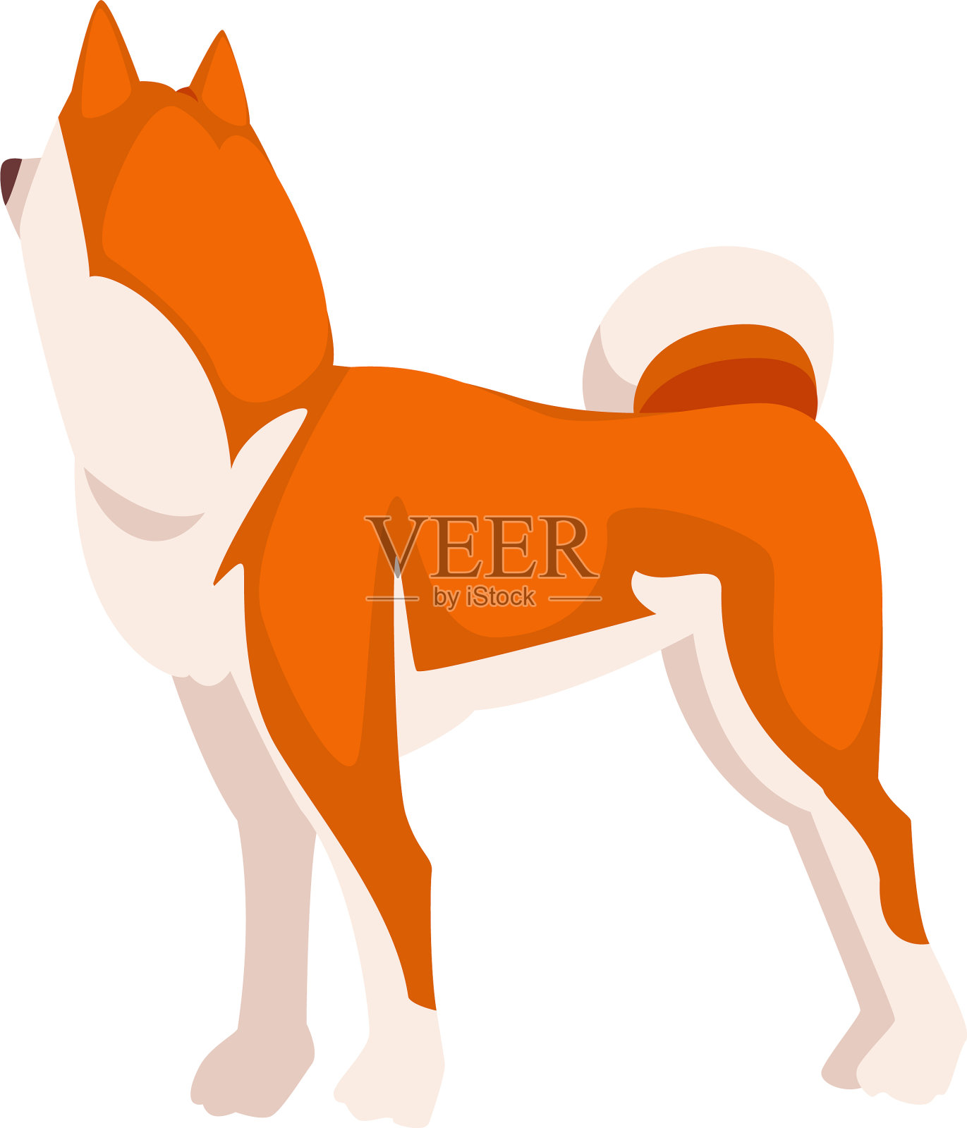 日本柴犬狗可爱的日本红白色毛茸茸的宠物设计元素图片