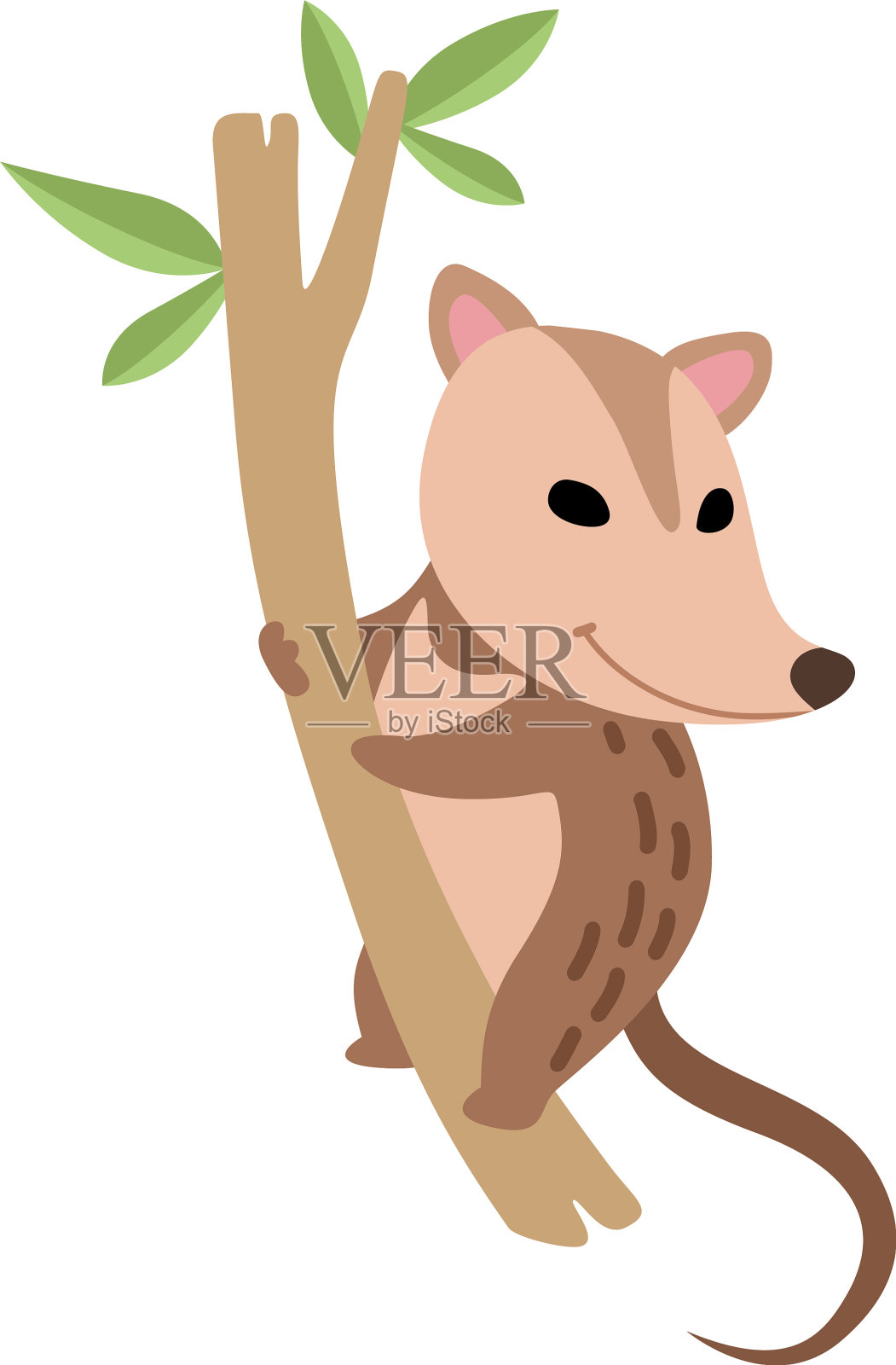 可爱的负鼠野生动物在树枝上设计元素图片