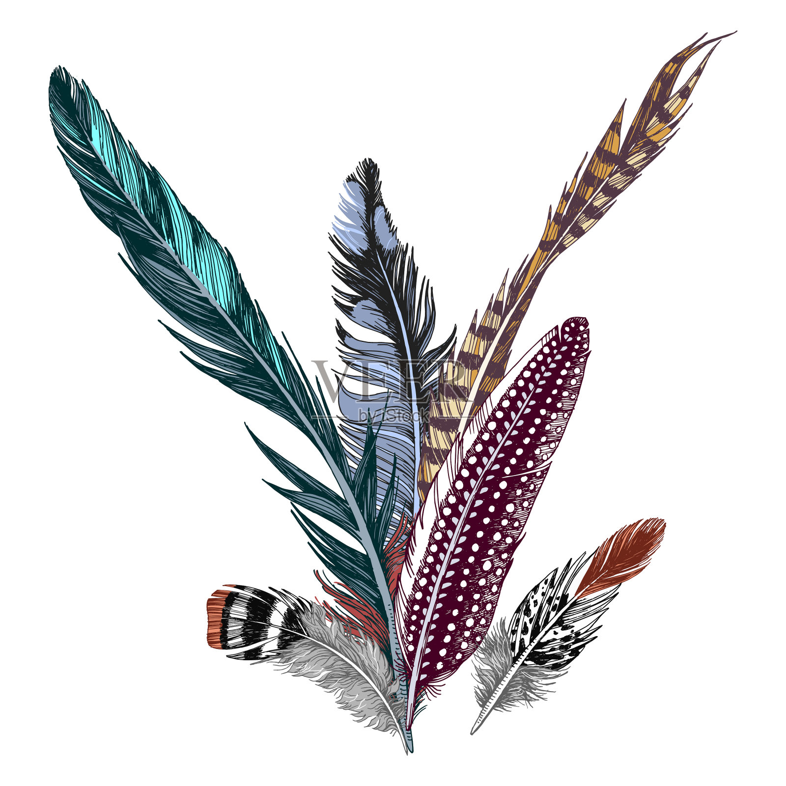 彩色的手绘羽毛在白色的背景设计元素图片