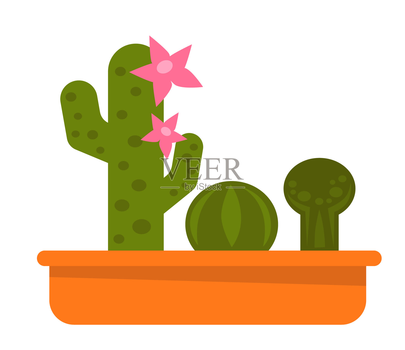 不同的盆栽仙人掌设计元素图片