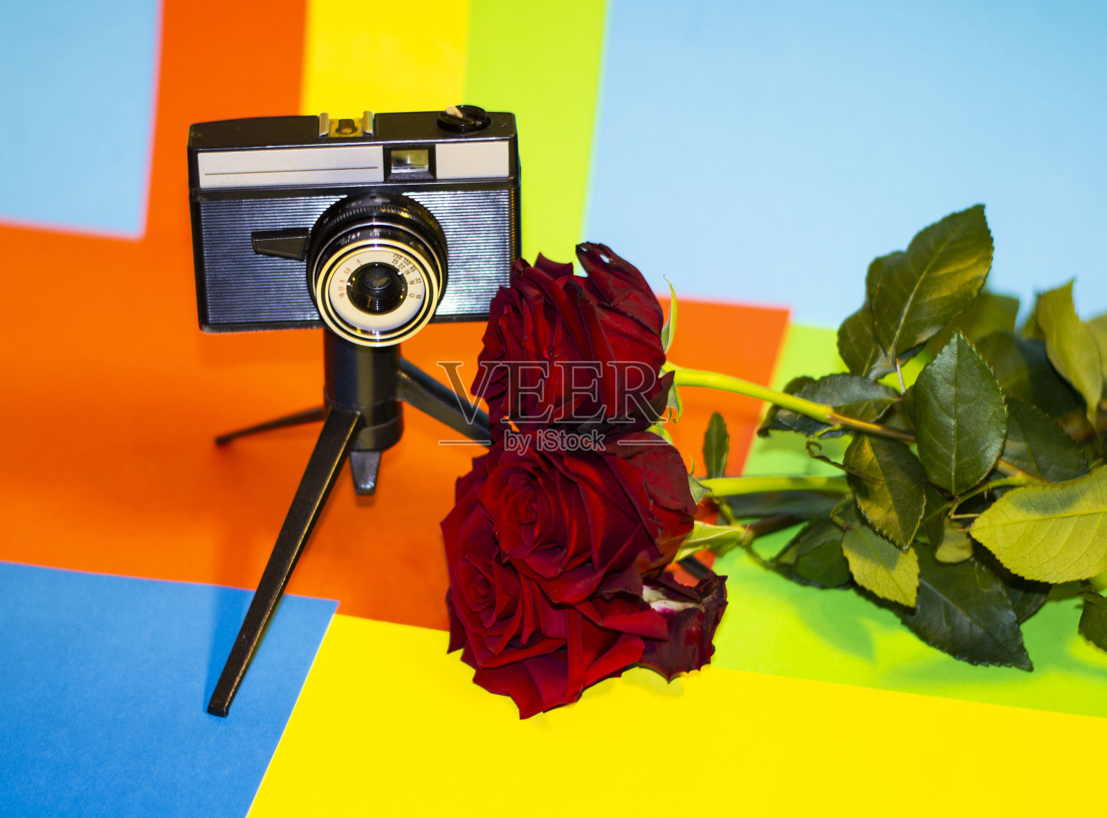 三朵红花和三脚架相机在多色背景照片摄影图片