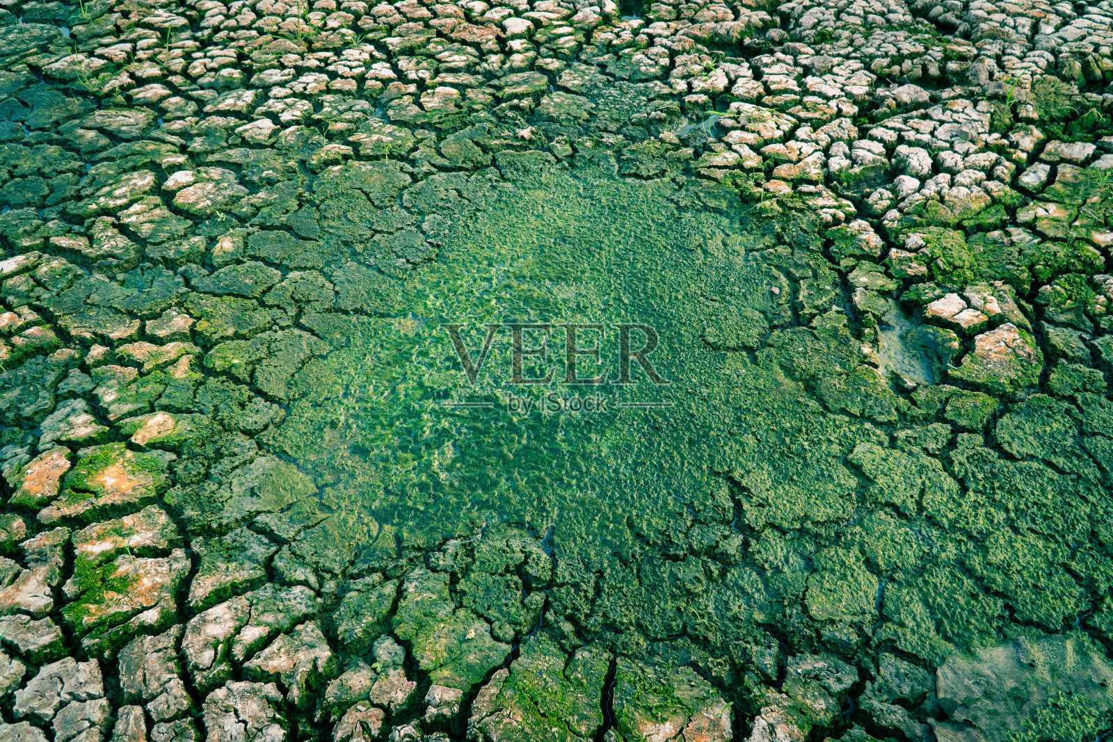 破解土地干旱与环境危机的概念。照片摄影图片
