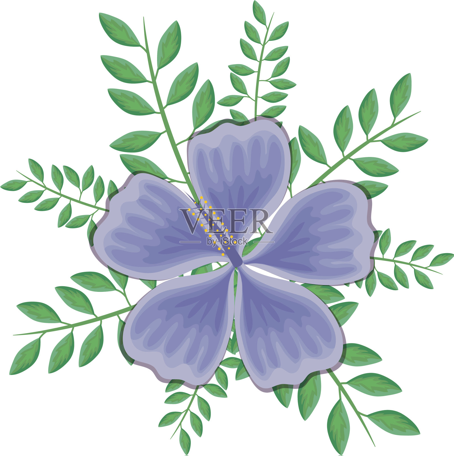 美丽的花和叶子设计元素图片