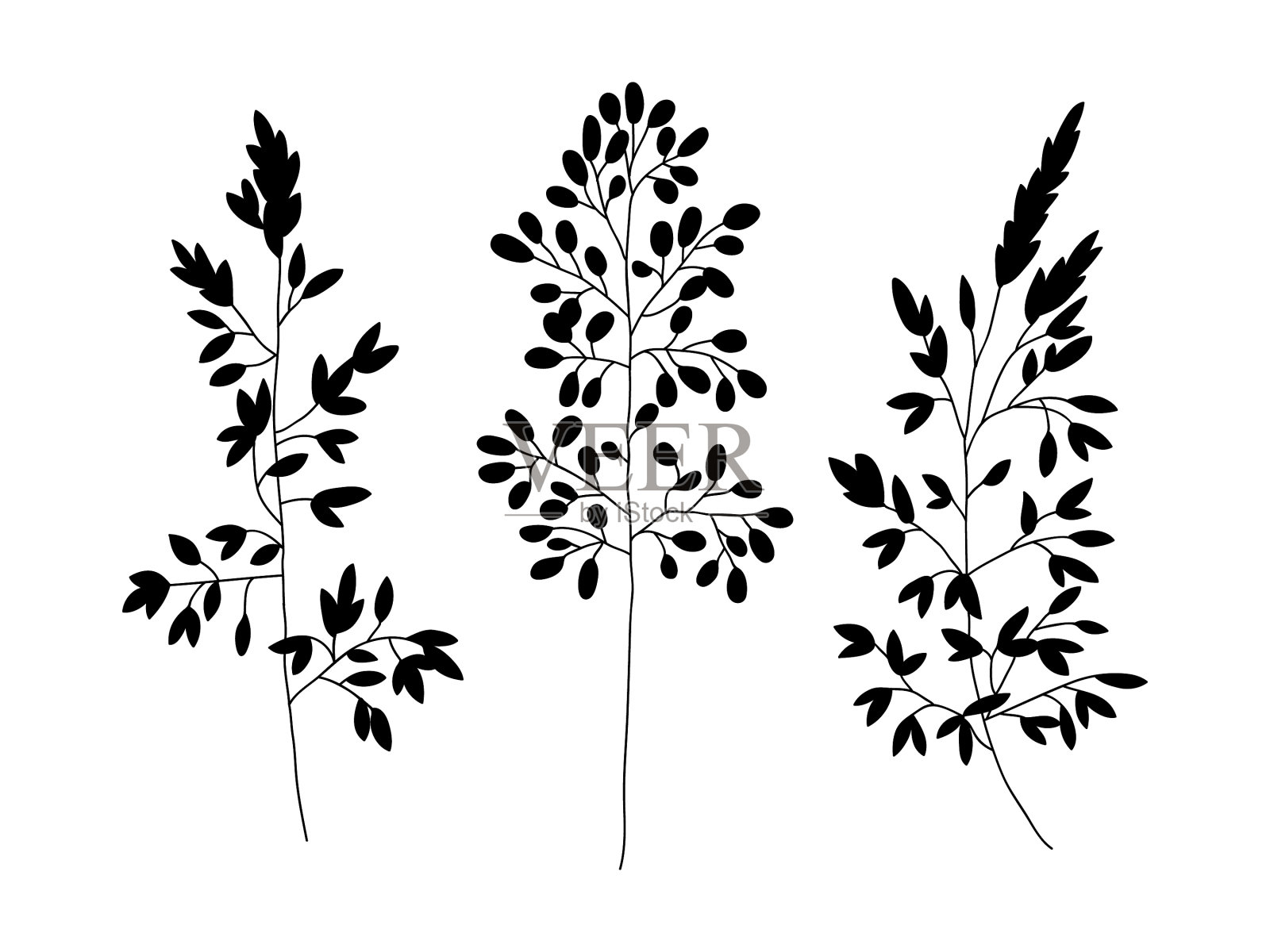 野生植物和草本植物设置剪影植物设计元素图片