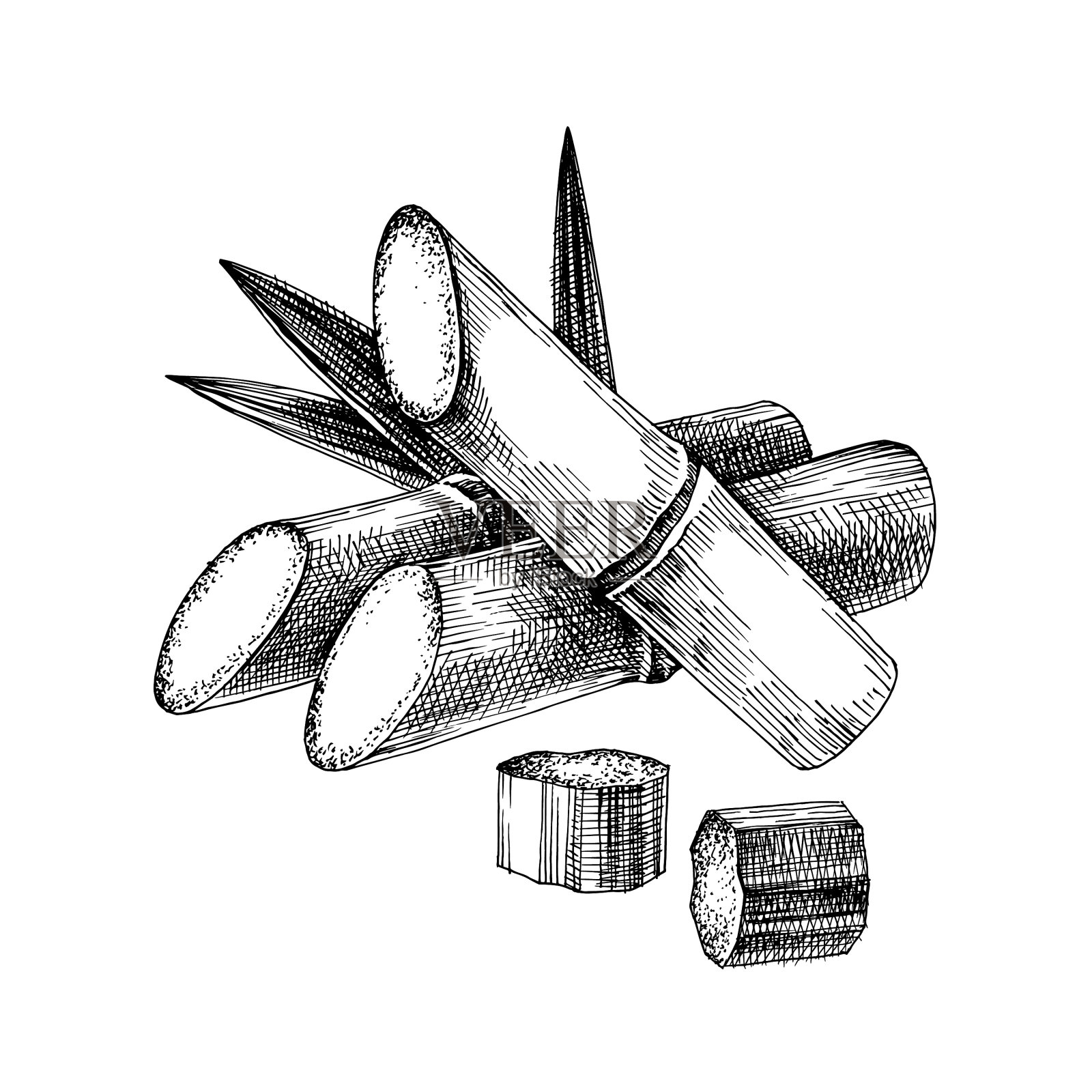 手绘甘蔗设计元素图片