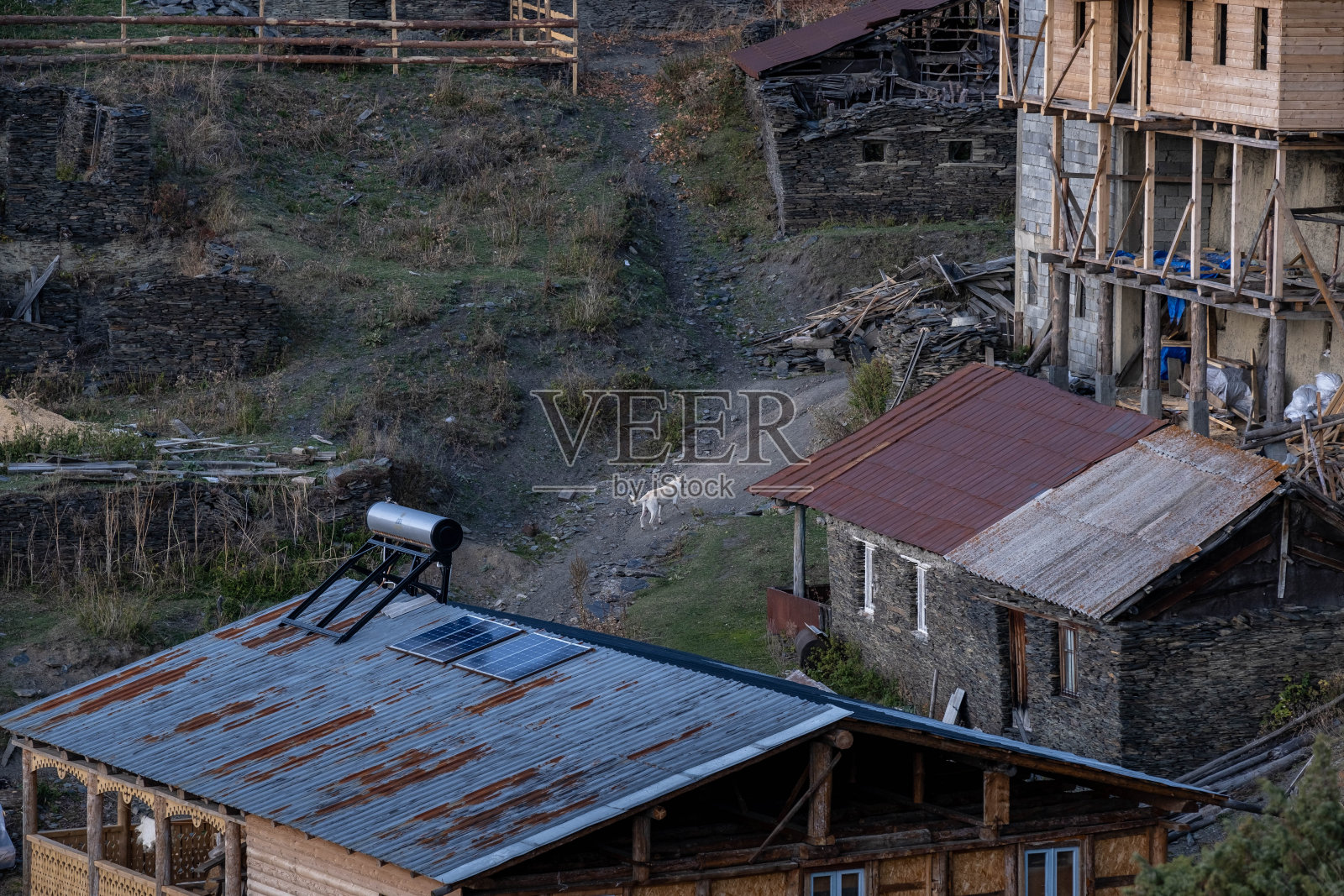 一只狗走上上奥马洛村的一条小路照片摄影图片