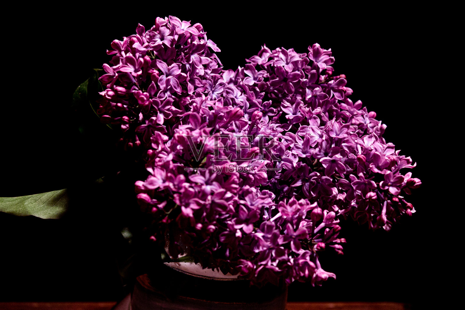 花开花落又低调照片摄影图片