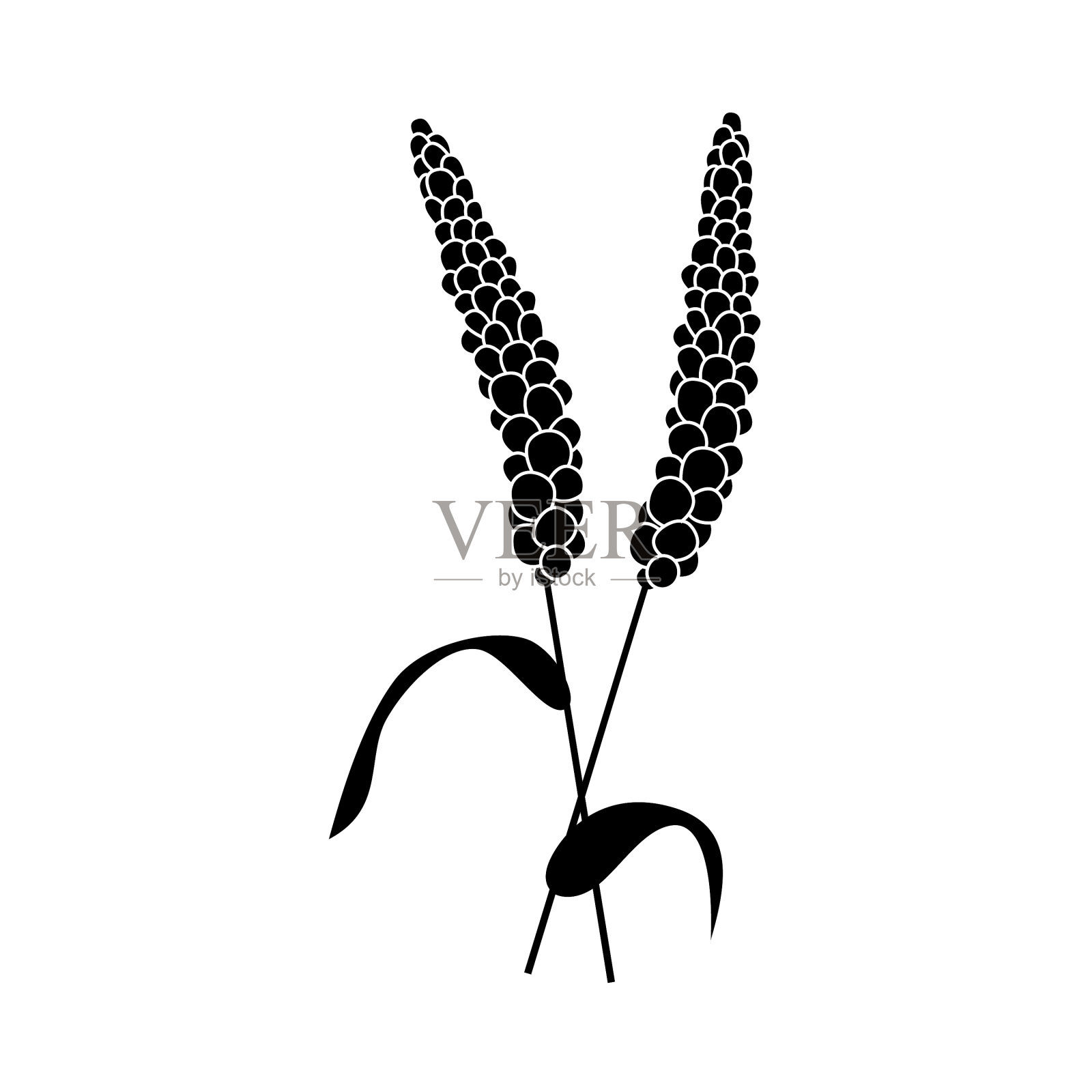 小麦穗黑色剪影图标有机设计元素图片
